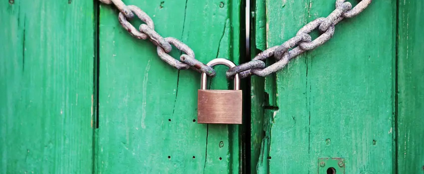 Employment Law Protection for your Company